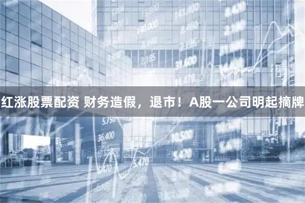 红涨股票配资 财务造假，退市！A股一公司明起摘牌